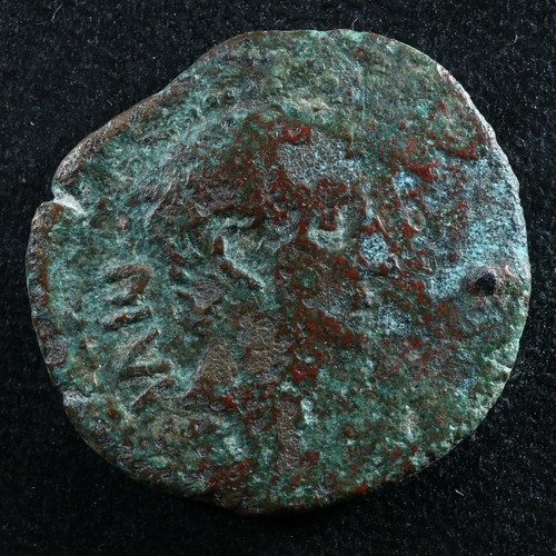 Augustus semis ilerda - augustus,