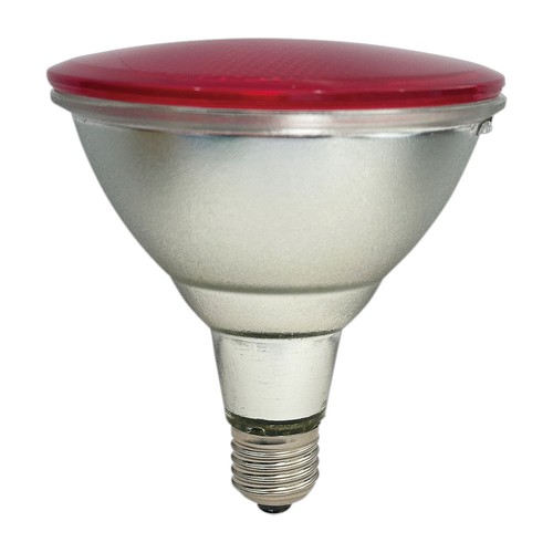 Faretto led par38 vetro - led,